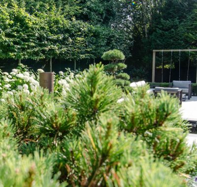 Minimalist contemporary garden design in Lancashire